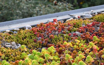 the cost of England green roof installation