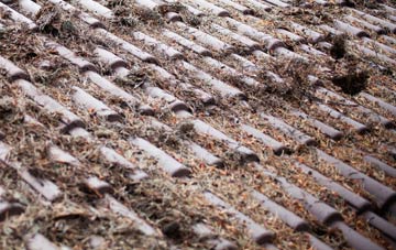 England roof cleaning companies