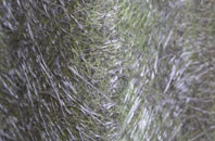 England fibreglass roof work